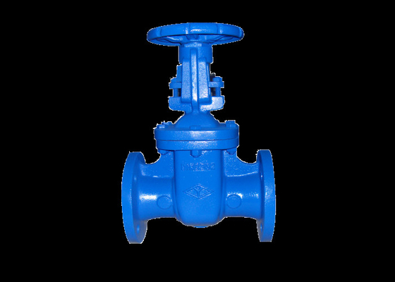 Din F5 Dn65 Flanged Gate Valve Brass Seal Iron Disc Cast Iron