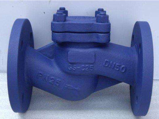 Cast Iron Leakproof Lift Check Valve For Oil Water Gas Anti Oxidation